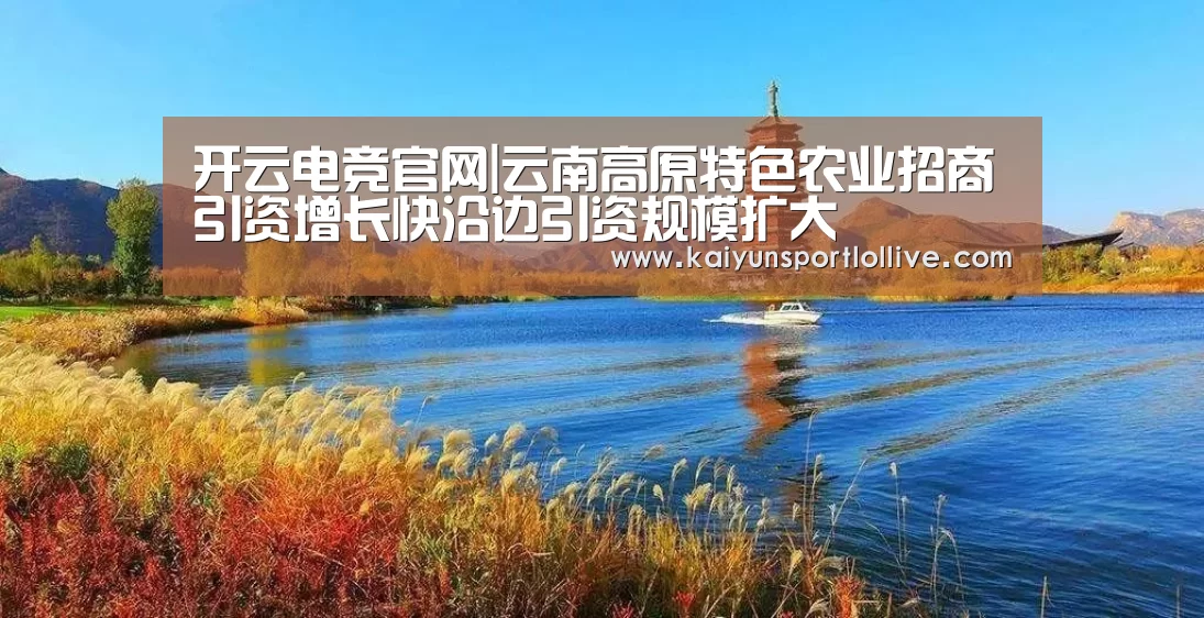 开云电竞官网|云南高原特色农业招商引资增长快沿边引资规模扩大(图2) 开云电竞官网