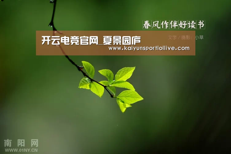 开云电竞官网_夏景园庐