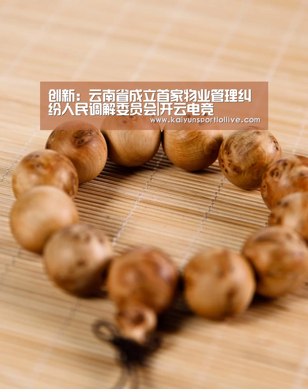 创新:云南省成立首家物业管理纠纷人民调解委员会|开云电竞(图2) 开云电竞