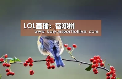 开云电竞